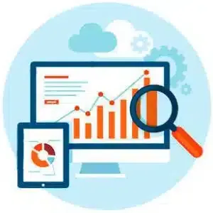 Credit Report Analysis